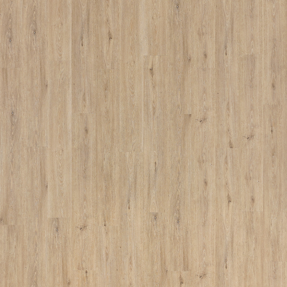VINIL LVT 1011 HRAST NEVADA 4,2/0,55 MM 33/42 CLIC