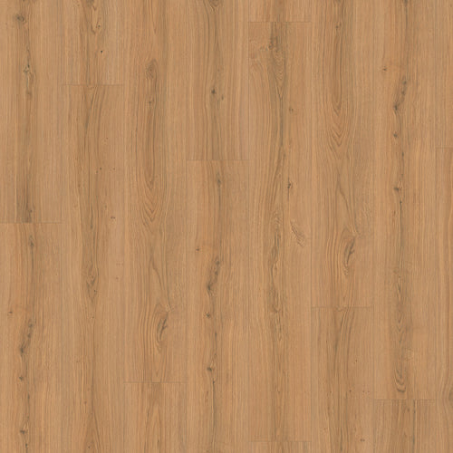 LAMINAT 2172 HRAST PADUA HONEY 4V 8/33 24h C-it