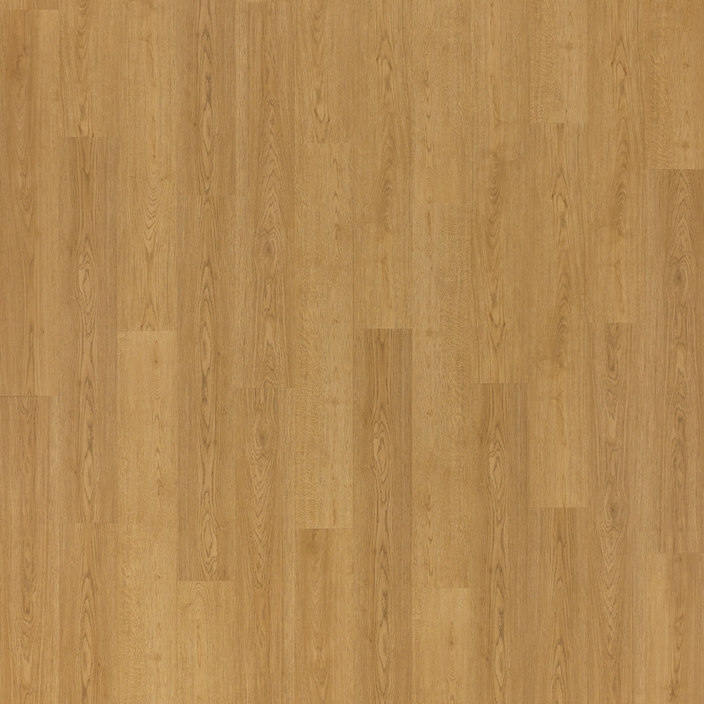 VINIL LVT 1215 HRAST SYDNEY 2,5/0,55 MM 33/42