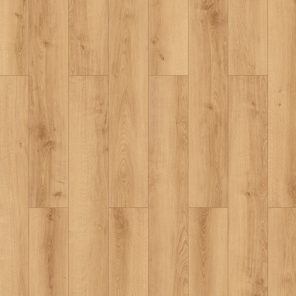LAMINAT WR 65791 HRAST EVORA 12/33 4V 48h M-loc