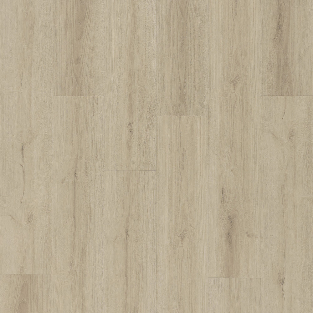 VINIL LVT 2006 HRAST BELVEDERE 2,5/0,55 MM 33/42