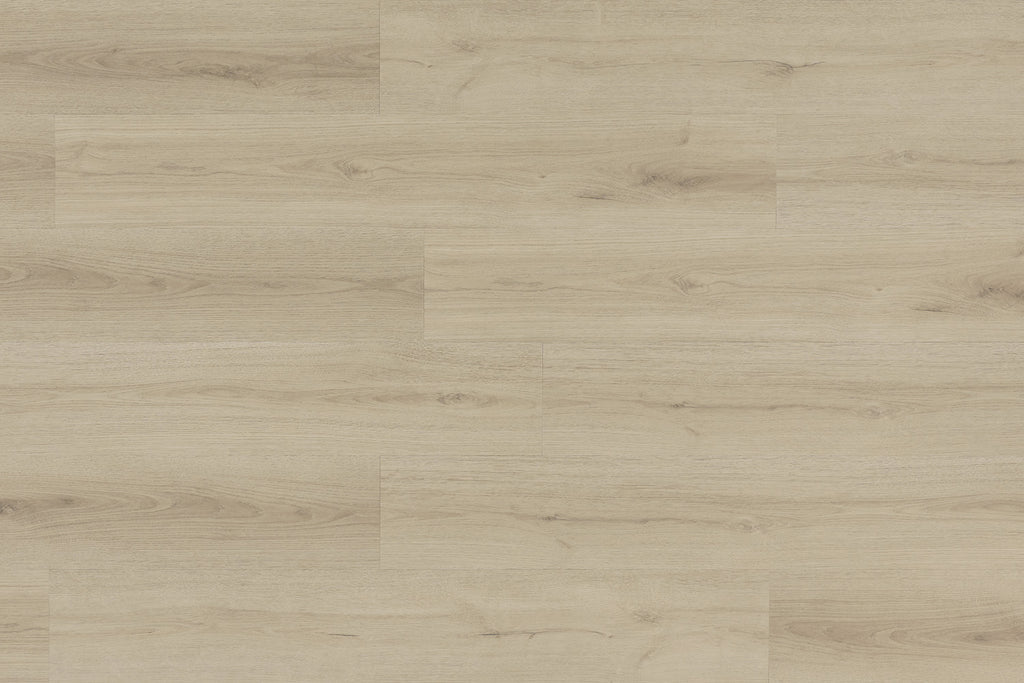 VINIL LVT 2006 HRAST BELVEDERE 2,5/0,55 MM 33/42
