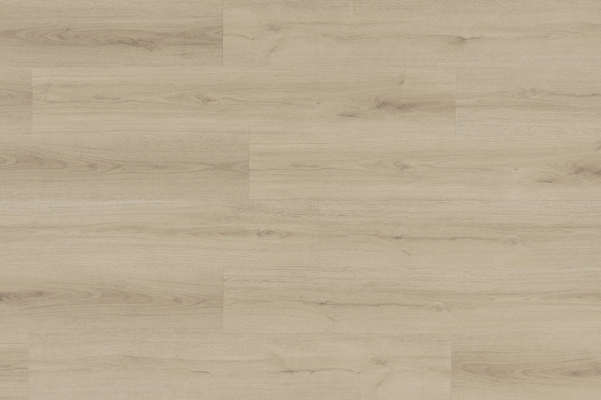VINIL LVT 2006 HRAST BELVEDERE 2,5/0,55 MM 33/42